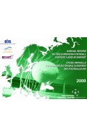 Annual Review of the European Football Players' Labour Market : 2009